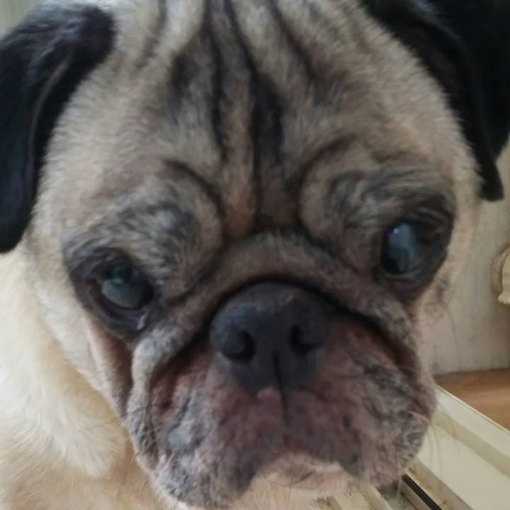 6d4b6583 ba0b 444c a300 b79dda43b915