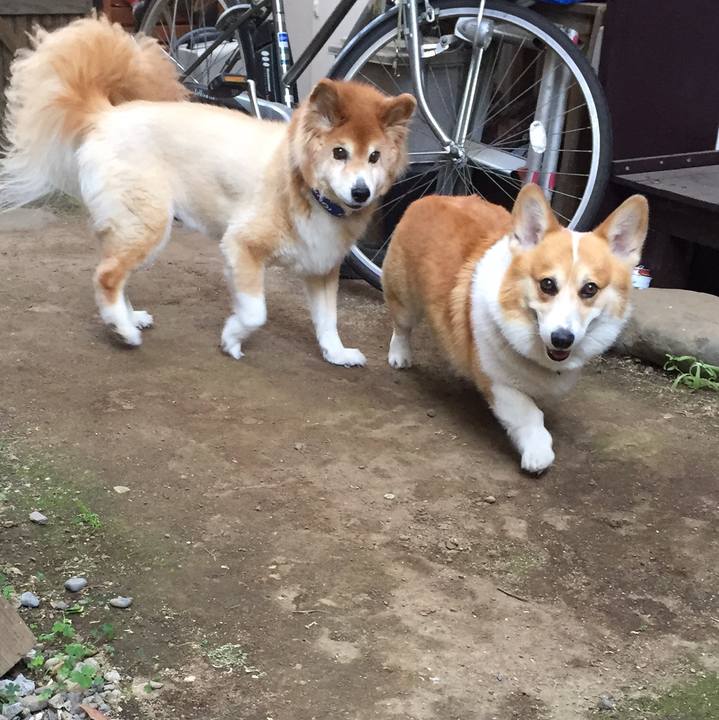 6d4bd3f6 51ae 44fe a231 f547a083335c