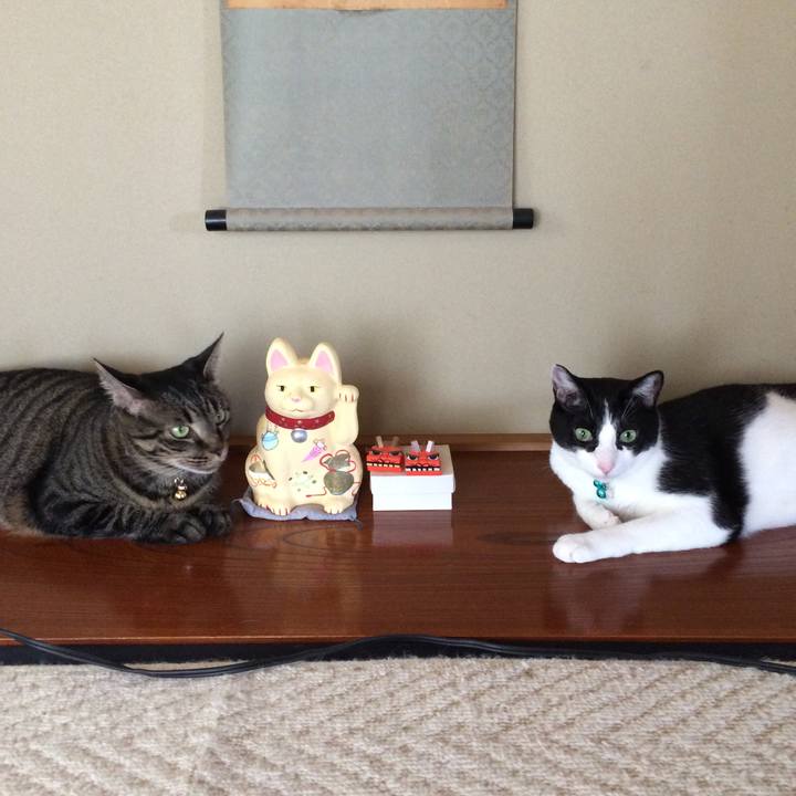 6d4c9804 040d 4338 86b5 95c27289c601