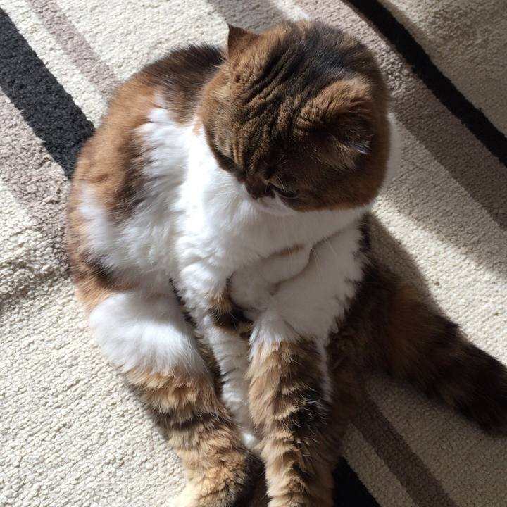 6d4cae8b 0764 4275 a4fb 89a4dbe03122