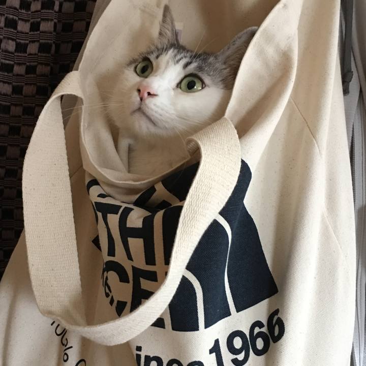 6d4cd824 34e3 44c1 8a3a cc6707ae63db