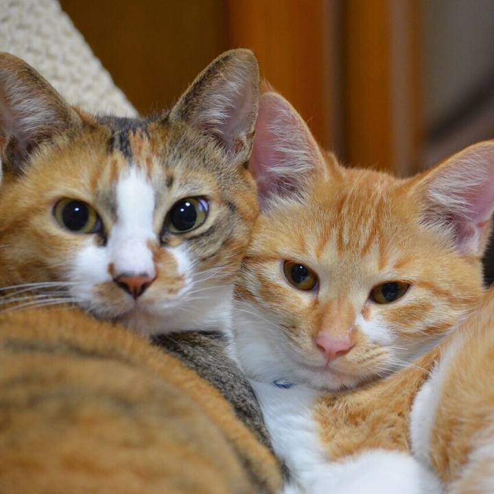 6d4dbb16 fc2f 49e6 ab3f bb1f5c7fd725