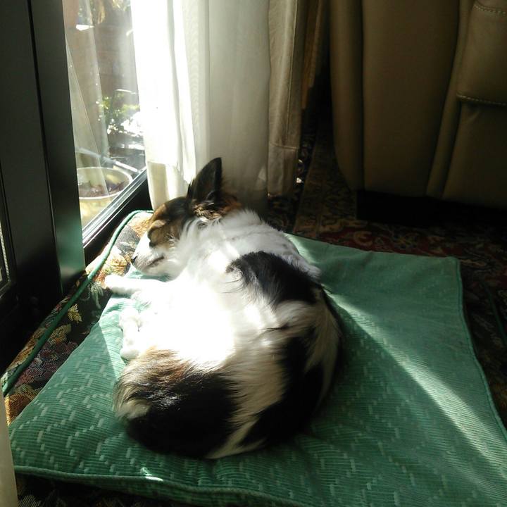 6d4e0bcb 45f8 4d58 970c b21a664d471d