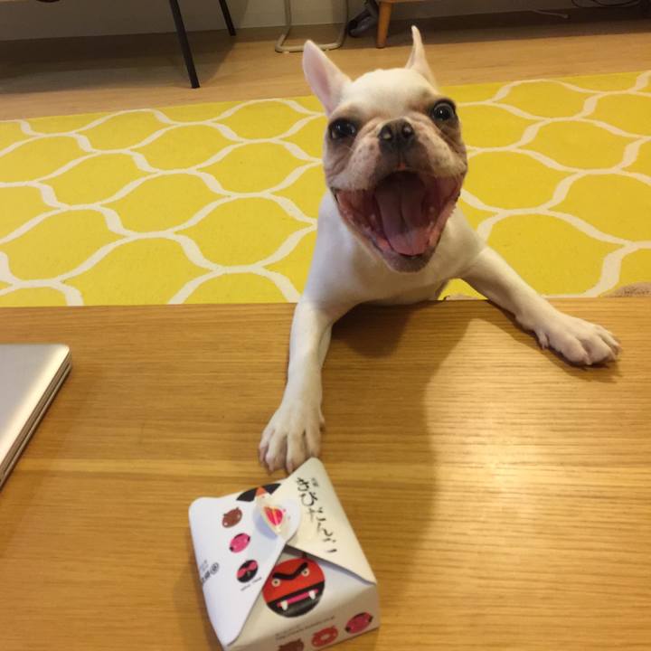 6d4e0c8e ec57 4833 813b 552a2e40751f