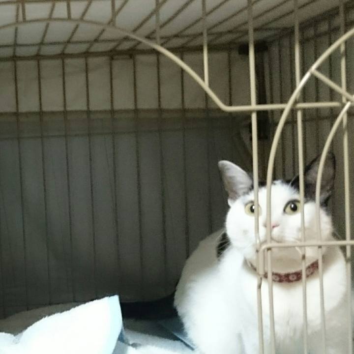 6d4e5792 b840 43fa b489 27a09c117efc