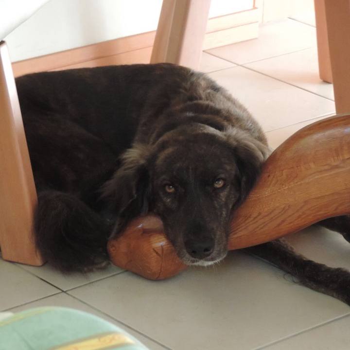 6d4e8cfb 51eb 4c93 b506 5b4ce8f2d5c7