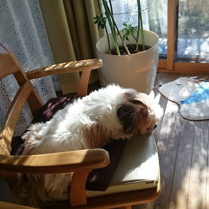 6d4efc26 5048 484e 9c82 302cb2df34fa