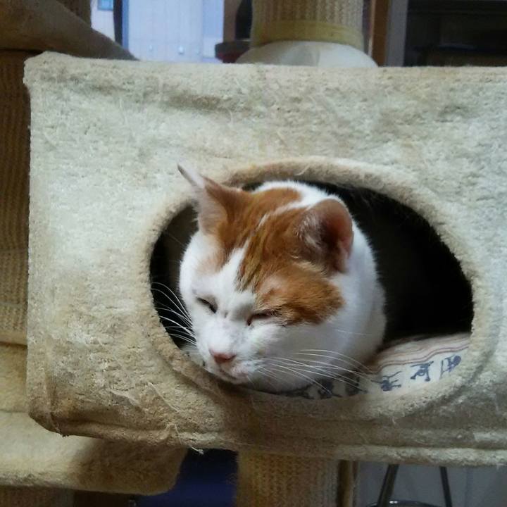 6d4fa4ba 01fd 4e20 91b4 de3e9d8f9ec0