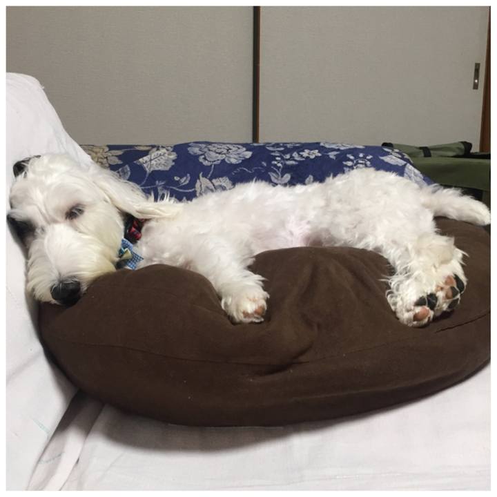 6d50330f 730a 4b88 ba39 45330c540480