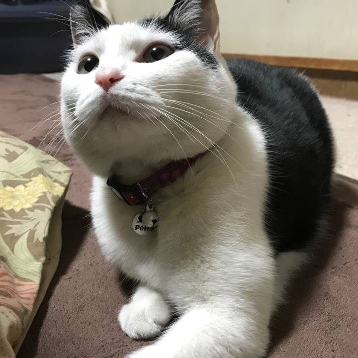 6d504c24 797e 4896 aece 901858d06a1b