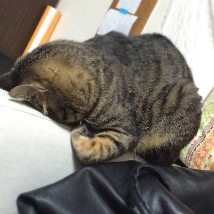 6d507717 c4fb 4f52 974d fcb837b646bf