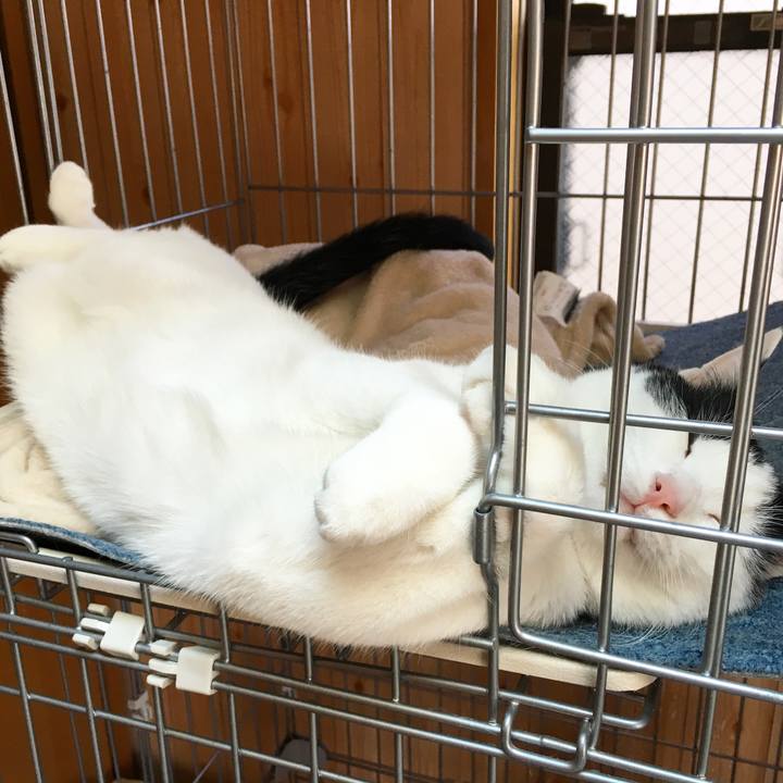 6d50af81 5ac4 4ff4 92e9 e67e4a51b63f