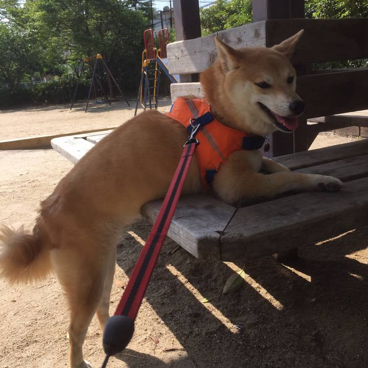 6d514c08 3e4c 4e08 b69f 376f9e2225df