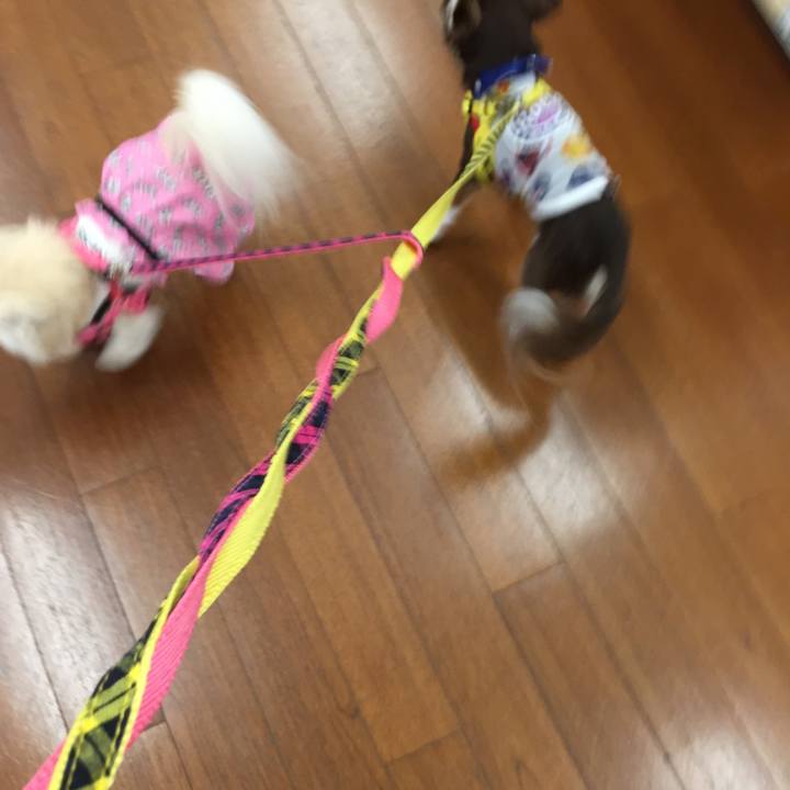 6d51bb80 11c5 4ed7 b076 f02574a082a4