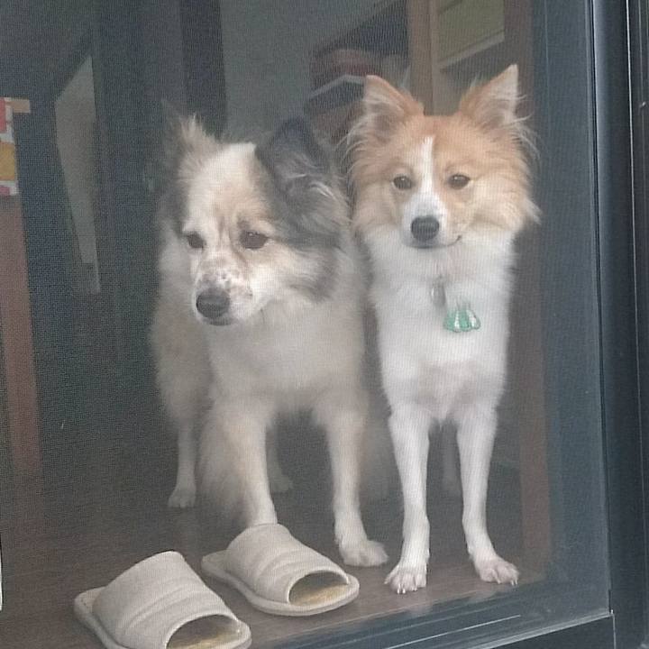 6d521cfd a5f7 43e9 ac85 060f0ac37421