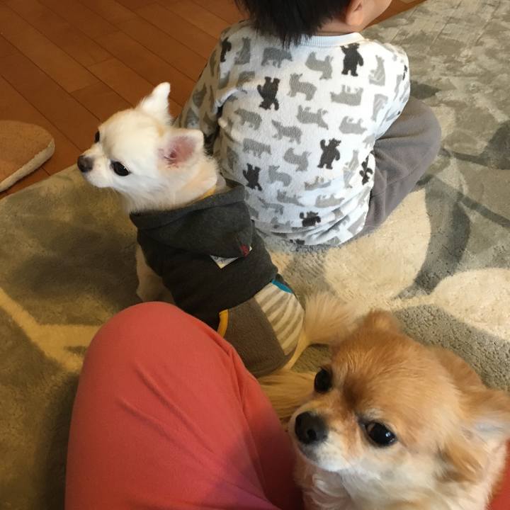 6d5223f1 5263 4a13 aa3d f4df68cca6de