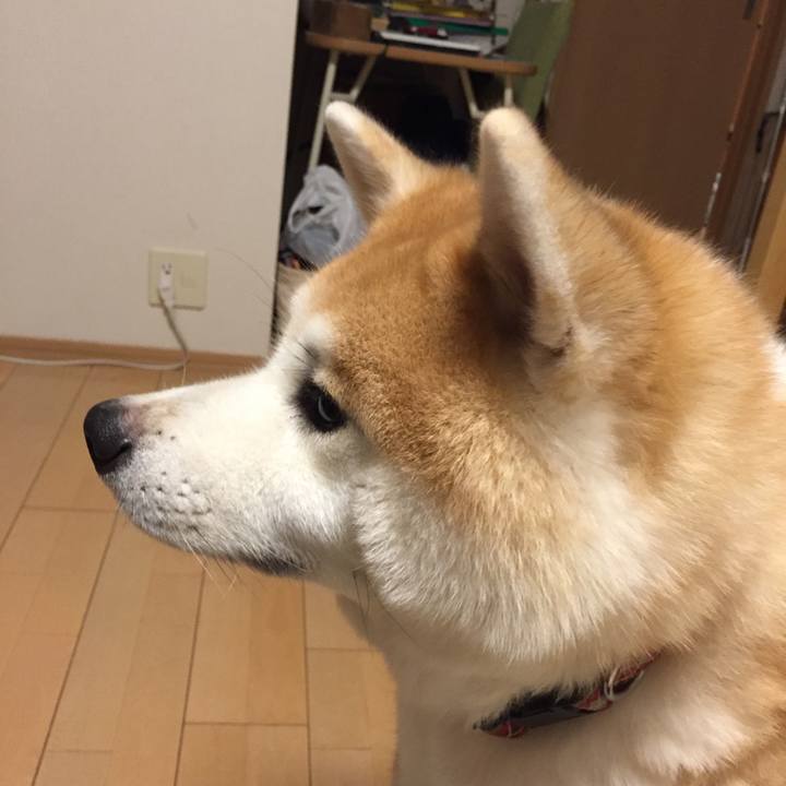 6d52598c 8f5f 4cd3 9d9f 555d45b19070