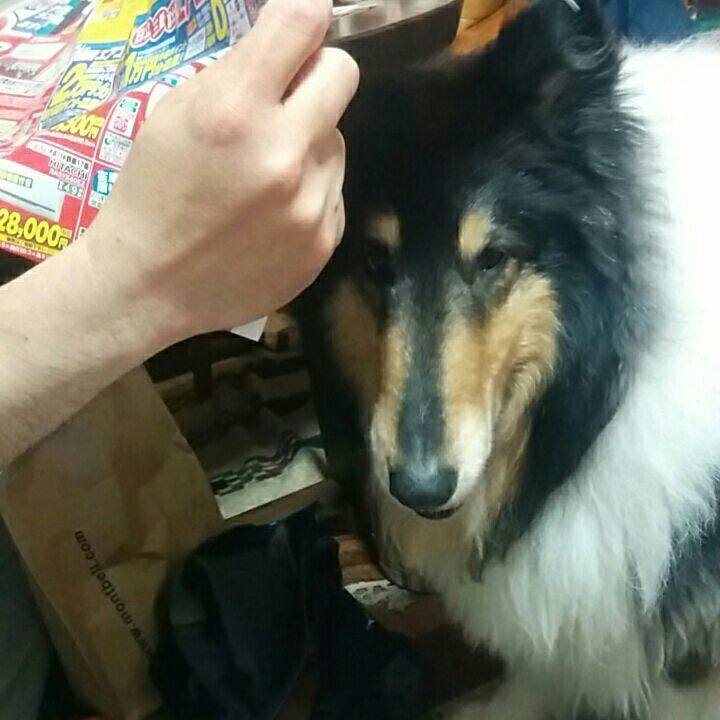 6d527b5a 4348 42a2 82ad aa99ed349b7f