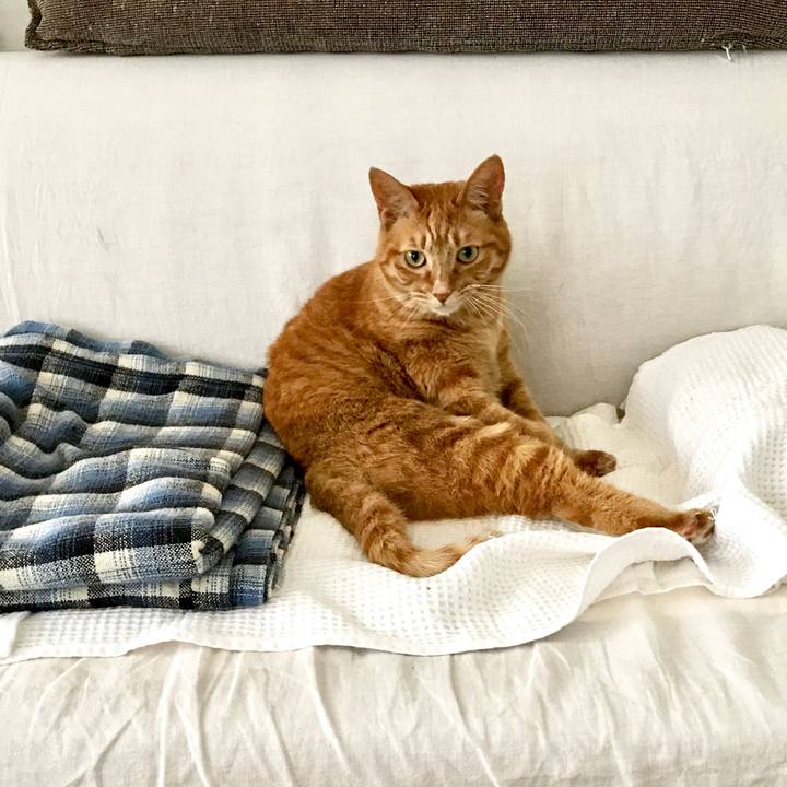 6d54050b 10dd 479a b9b3 24f3a789b5be