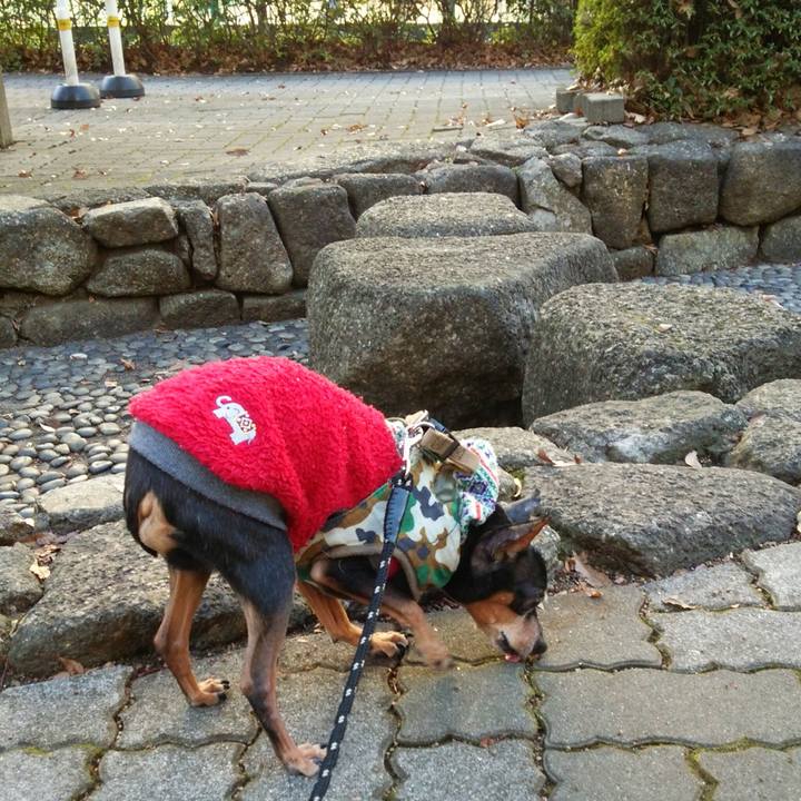 6d5493bc 4532 4a11 92d6 b61409510980