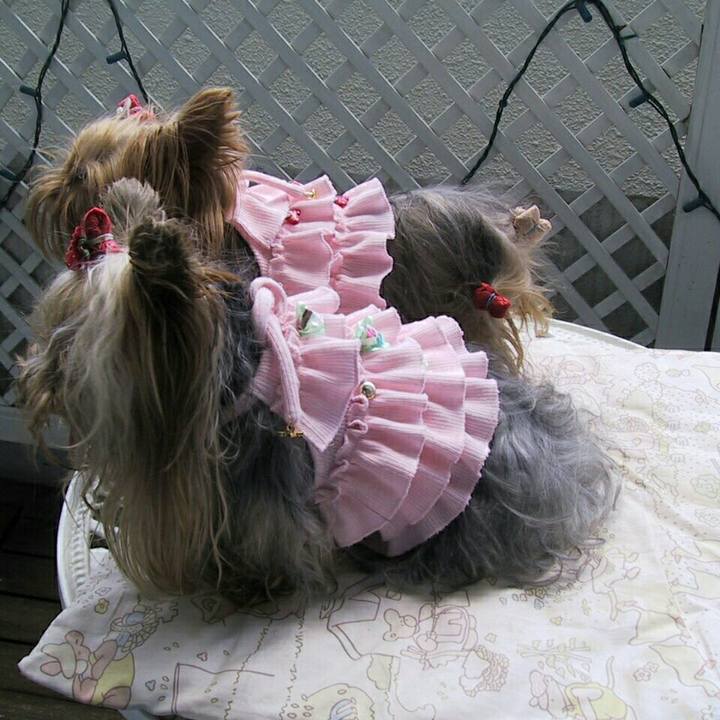 6d5512a8 13d8 4aad 9ef5 db9f08983e84