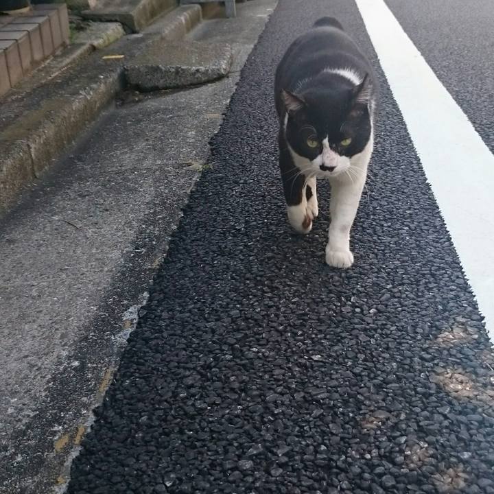 6d5537a7 4069 4327 a581 7879d165acd4