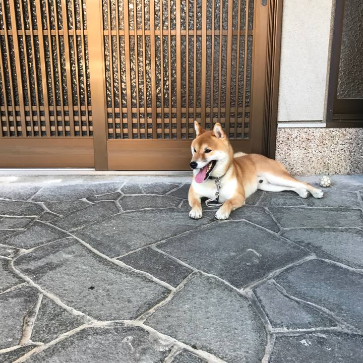 6d55e781 7461 47ab 84ad 26cb38e92f0e