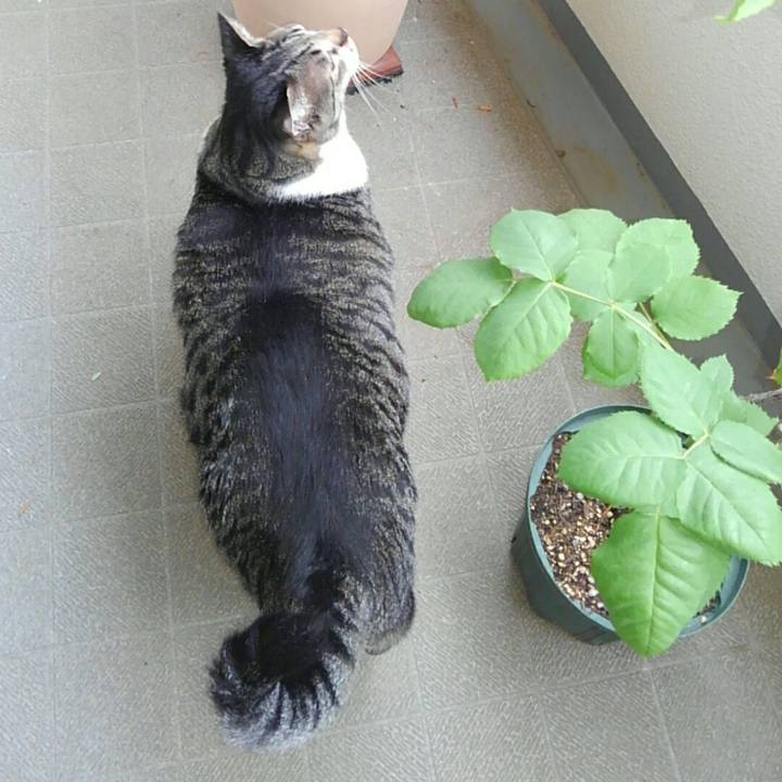 6d56c07b 45bf 47a7 8527 666a6162f5c6