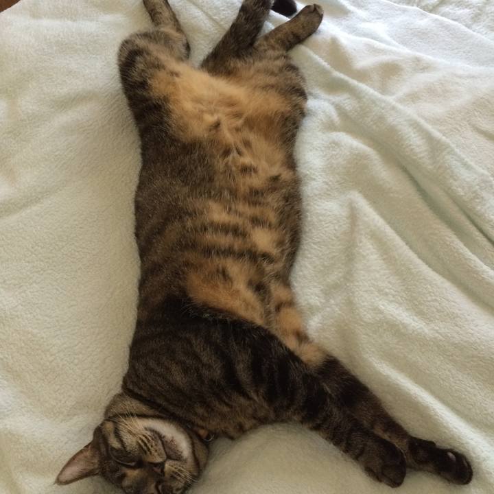 6d575bb6 5ef0 4649 b24a 6d369e425038