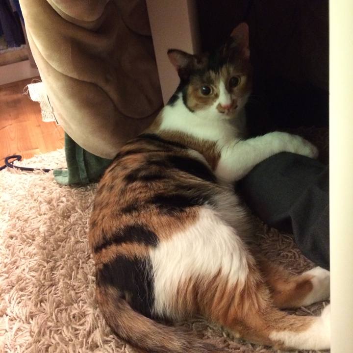 6d581816 90a8 4015 9505 cb24a42a7d08