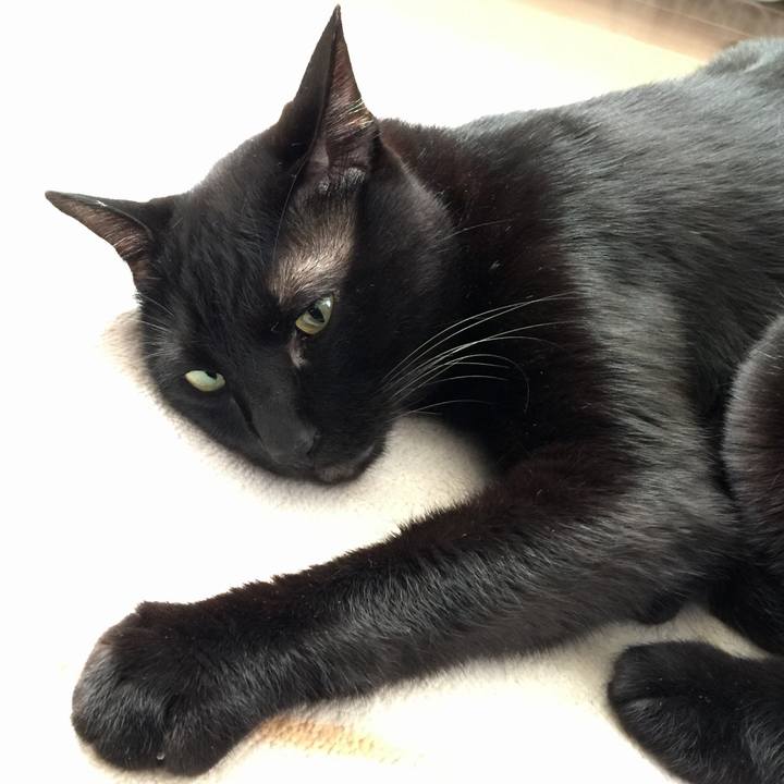 6d5851fb d5fe 4f8b bc00 ccfe450d6eaf