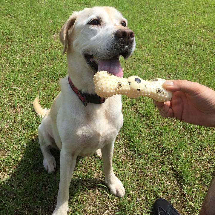 6d58ebb1 7505 43a1 96f3 8a45bc8af4dc