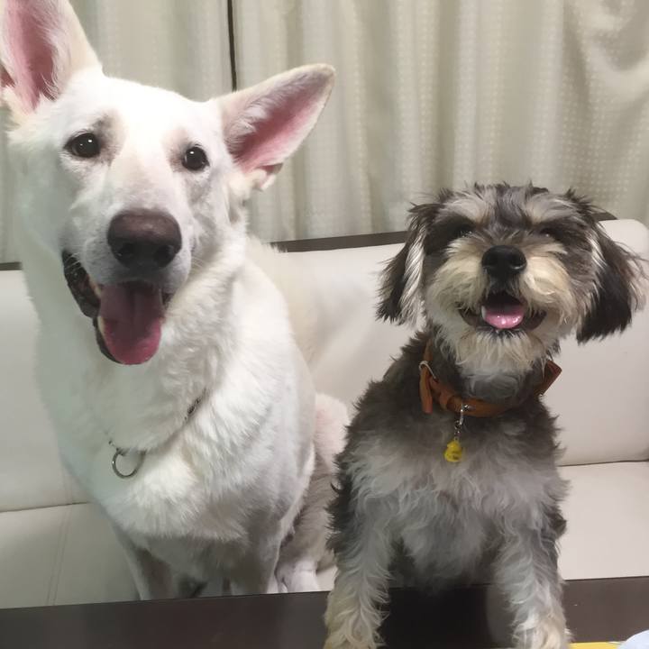 6d591c96 8758 49ab 9cea 6845f8ae0759