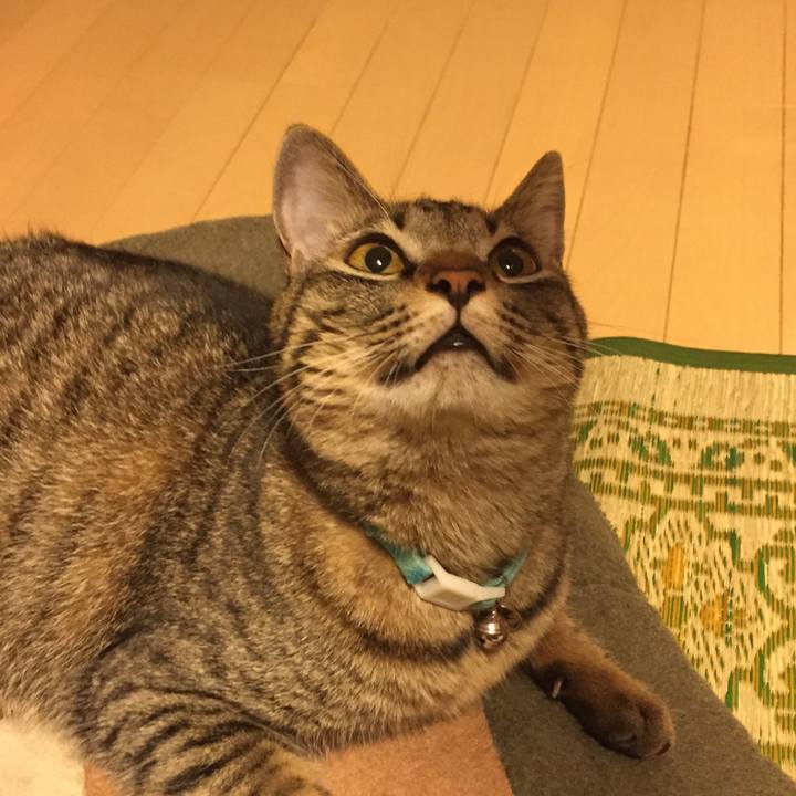 6d59cd51 2a54 43f9 8877 2327db48d863