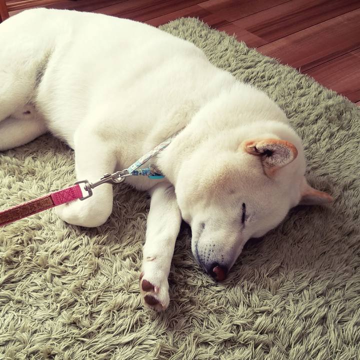 6d5a062b 4bad 42f8 9386 d6edadfc5465