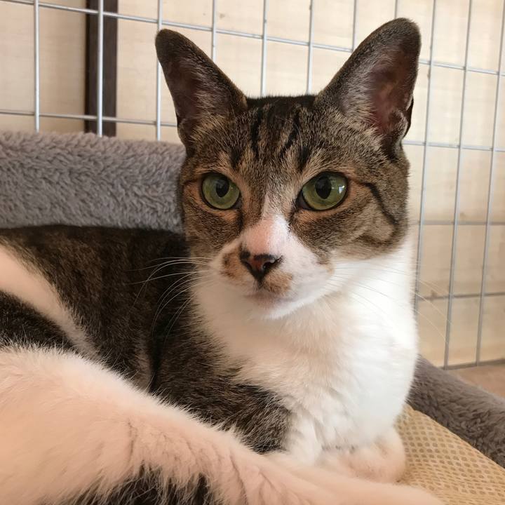 6d5a2d35 1038 4b27 8223 bfc4079b7b00