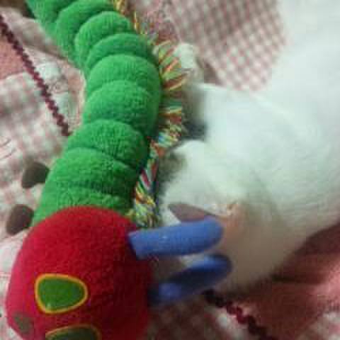 6d5a4305 53d9 454e a386 77eef1b16b41