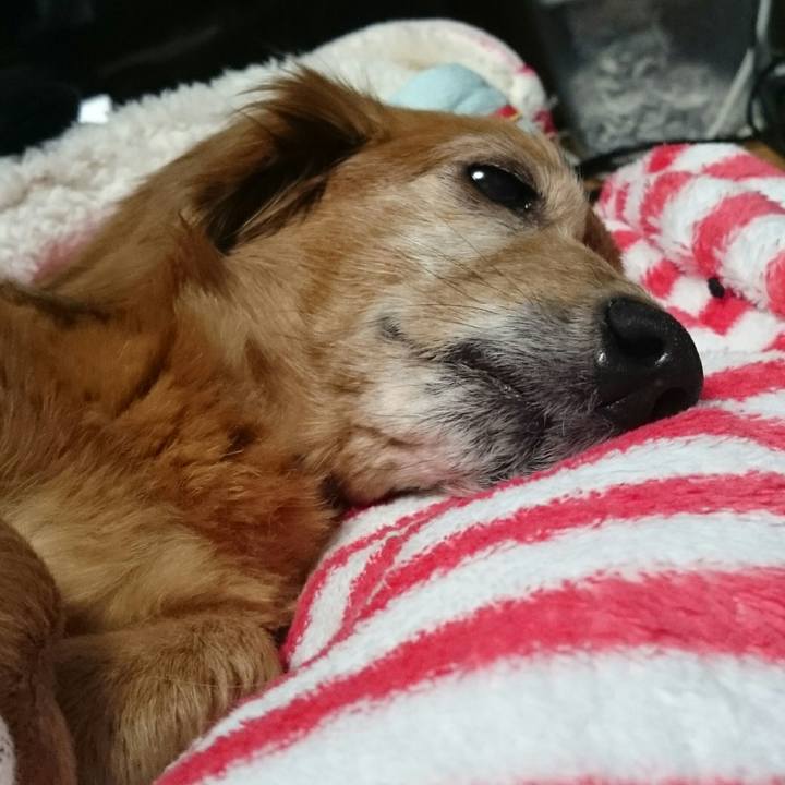 6d5a97fe 443f 48e3 9716 2bb971f541b9