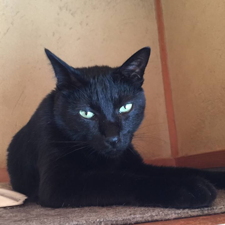 6d5acd81 6b43 41bd 90a2 f8a8340515f0