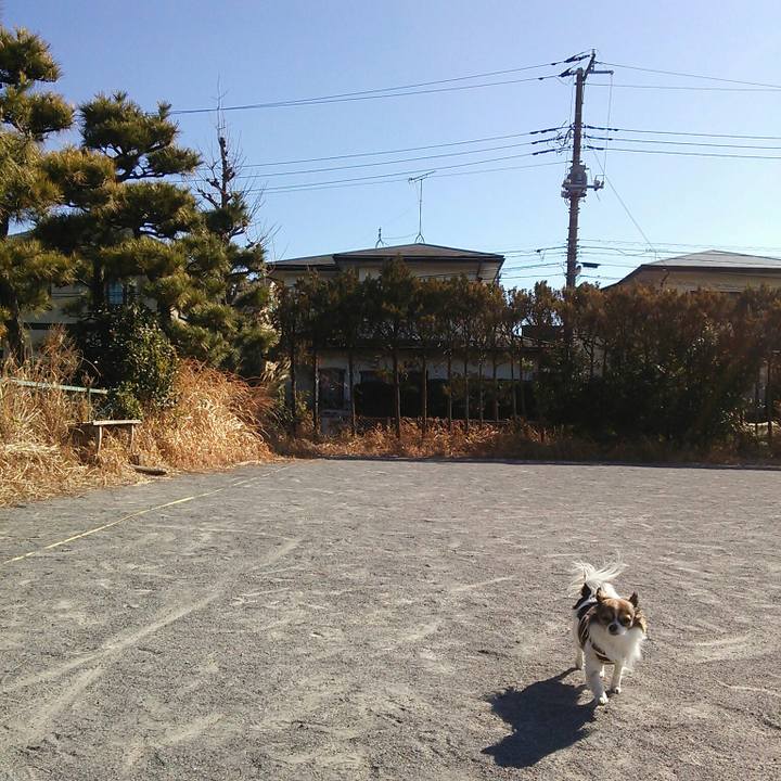 6d5aee72 f4f6 4421 ac22 7959272c4c9c