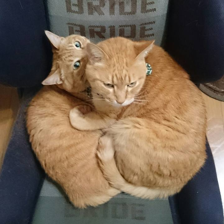 6d5af0c5 aff4 43dd 823b 74cd3cd5a4bb