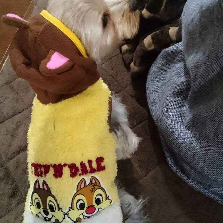 6d5c9b66 7c8a 4ddc be97 017b6c9cae6c