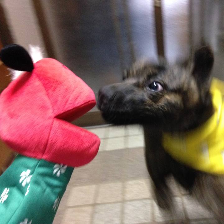 6d5d5237 24dd 4936 8f93 c656be5fe303