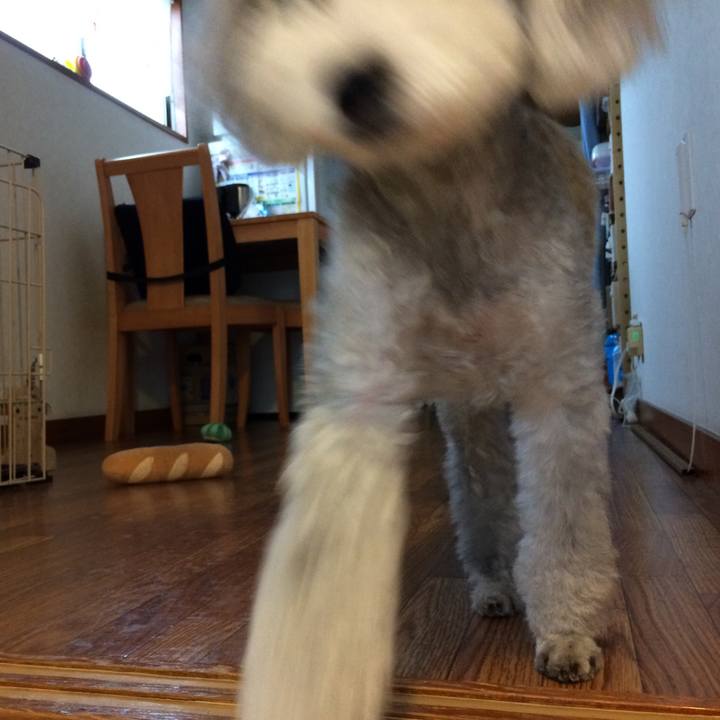 6d5da748 19d9 4bc8 b406 781143e48746