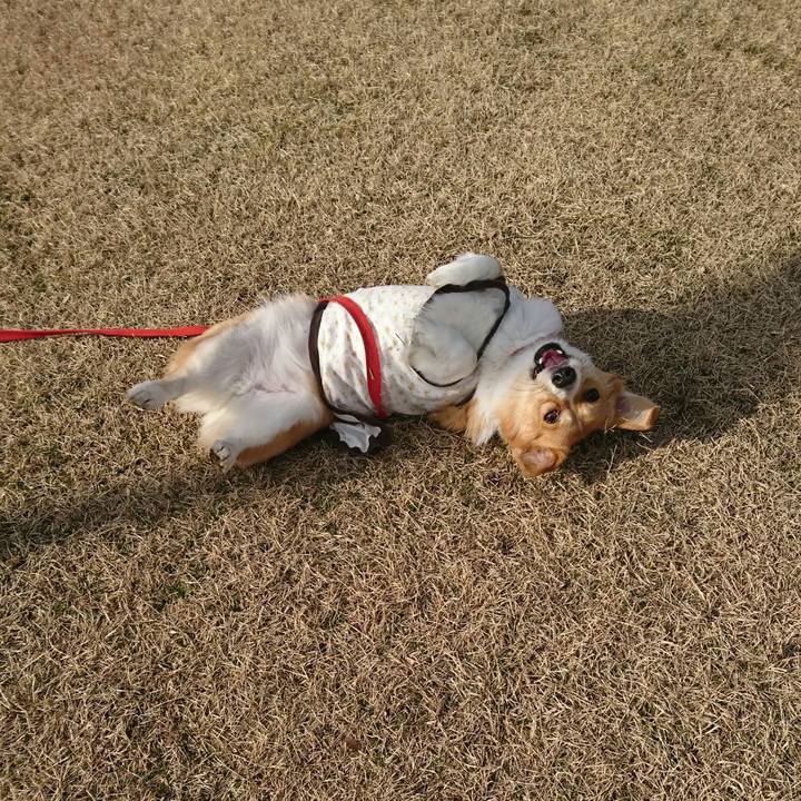 6d5df677 10a8 4283 bbe8 974a1e2d3eaf