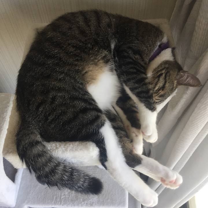 6d5e9362 c28d 4401 9731 e78db5d0abca