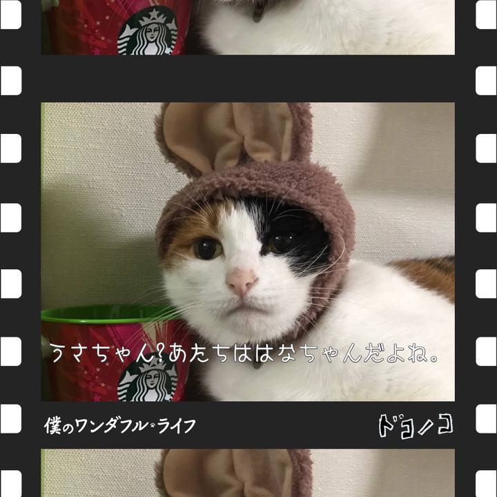 6d5f018d 38f3 4bfe bc4c 91c15c36ffef