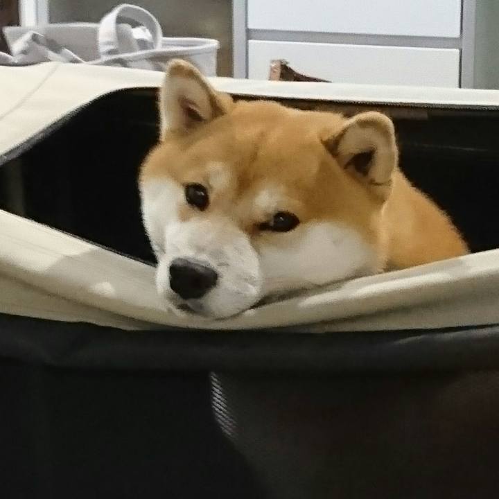 6d5f1b9e 6dd0 4ad1 8949 de27cdef3c7c