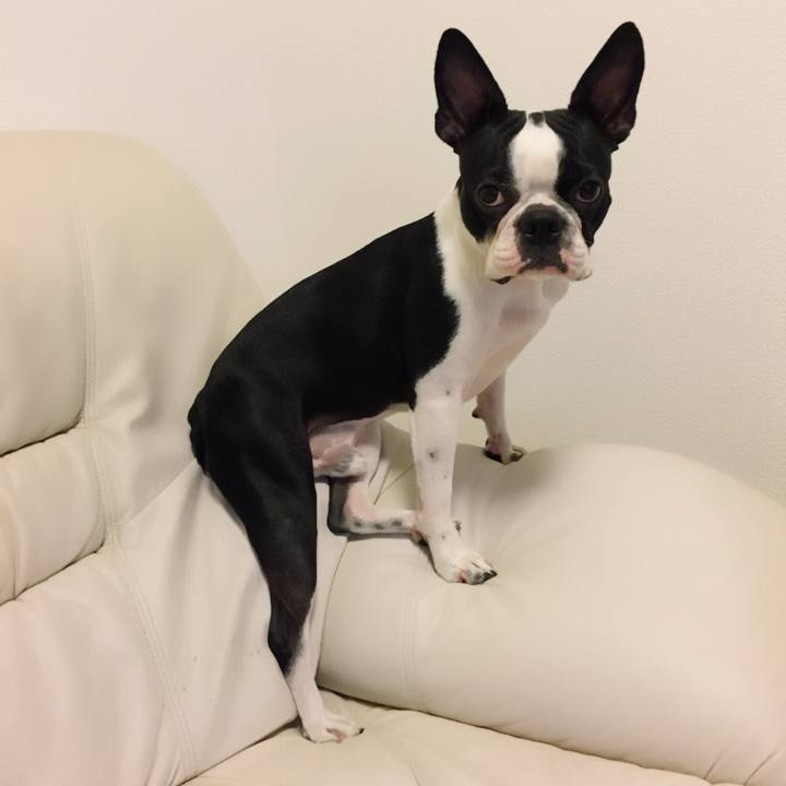 6d5f3aef 2510 4b3e 9012 b6c56aa7f2e3