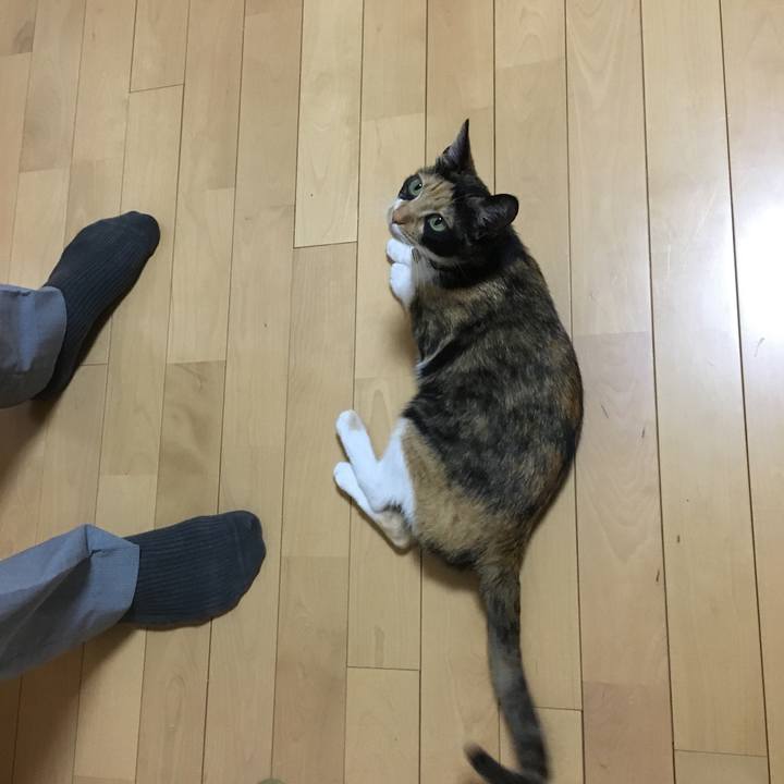 6d5fd683 e09c 4879 9c52 819739dc42d7